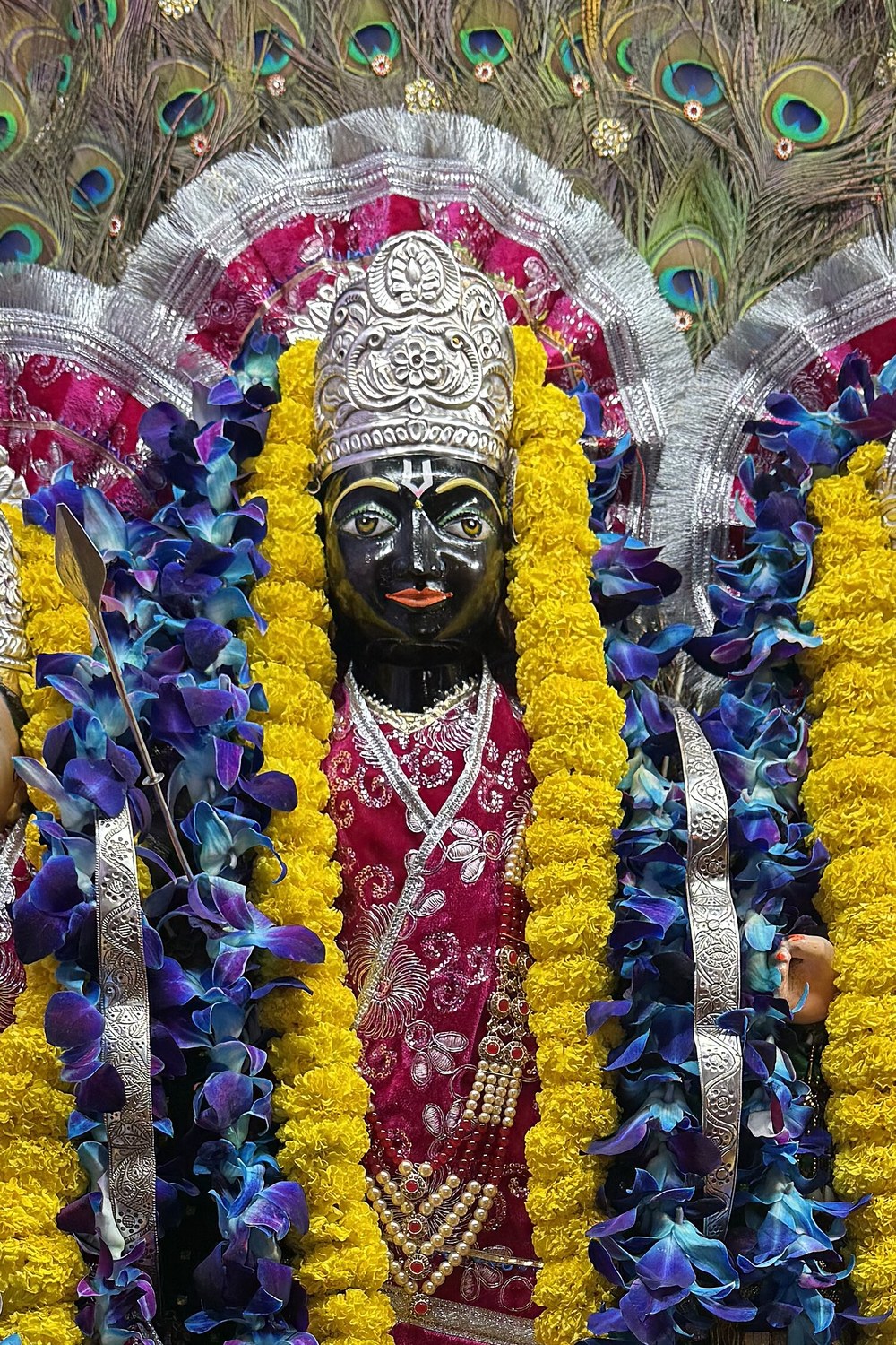 Ram Darbar — Shri Narsingh Dham, Ghagwal